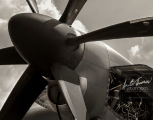Aviation photography - C-130 Hercules
520045 
(C)Anita Thomas All Rights Reserved. c hercules