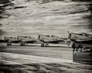 Aviation photography - Harvards
(C)Anita Thomas All Rights Reserved. harvards