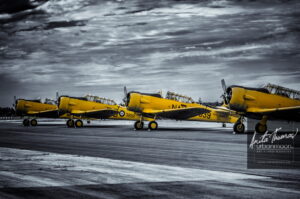 Aviation photography - Harvards
(C)Anita Thomas All Rights Reserved. harvards