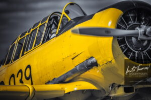 Aviation photography - Harvards
(C)Anita Thomas All Rights Reserved. harvards