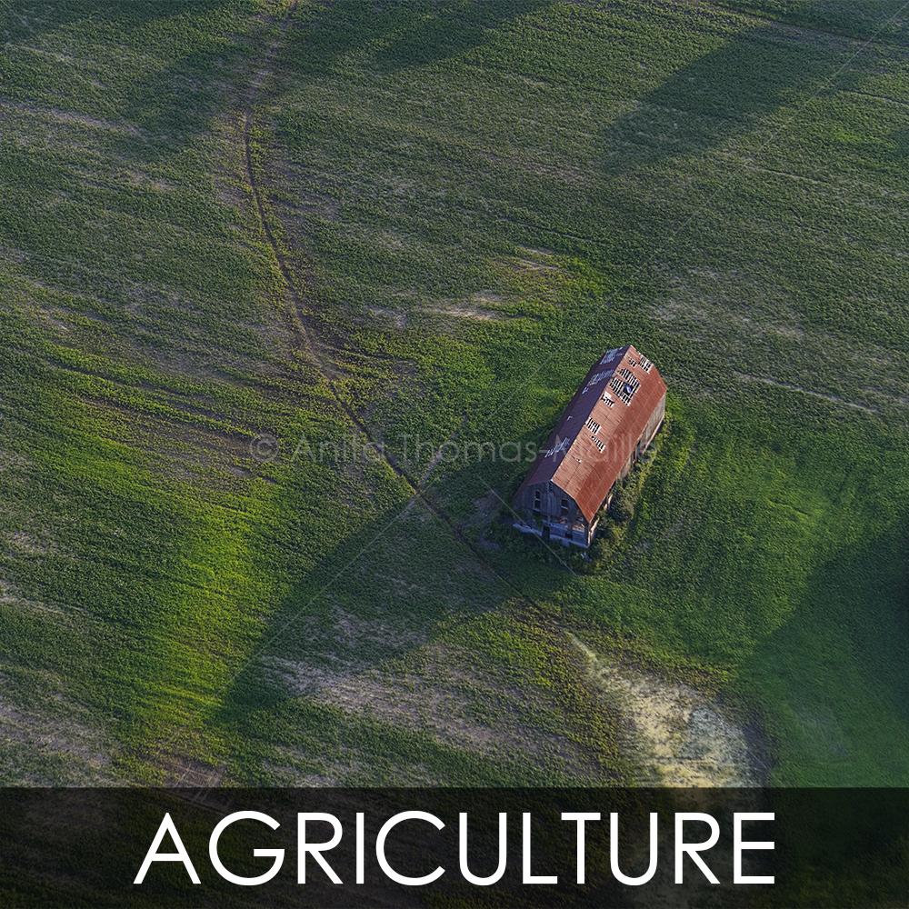 aerial photography agriculture