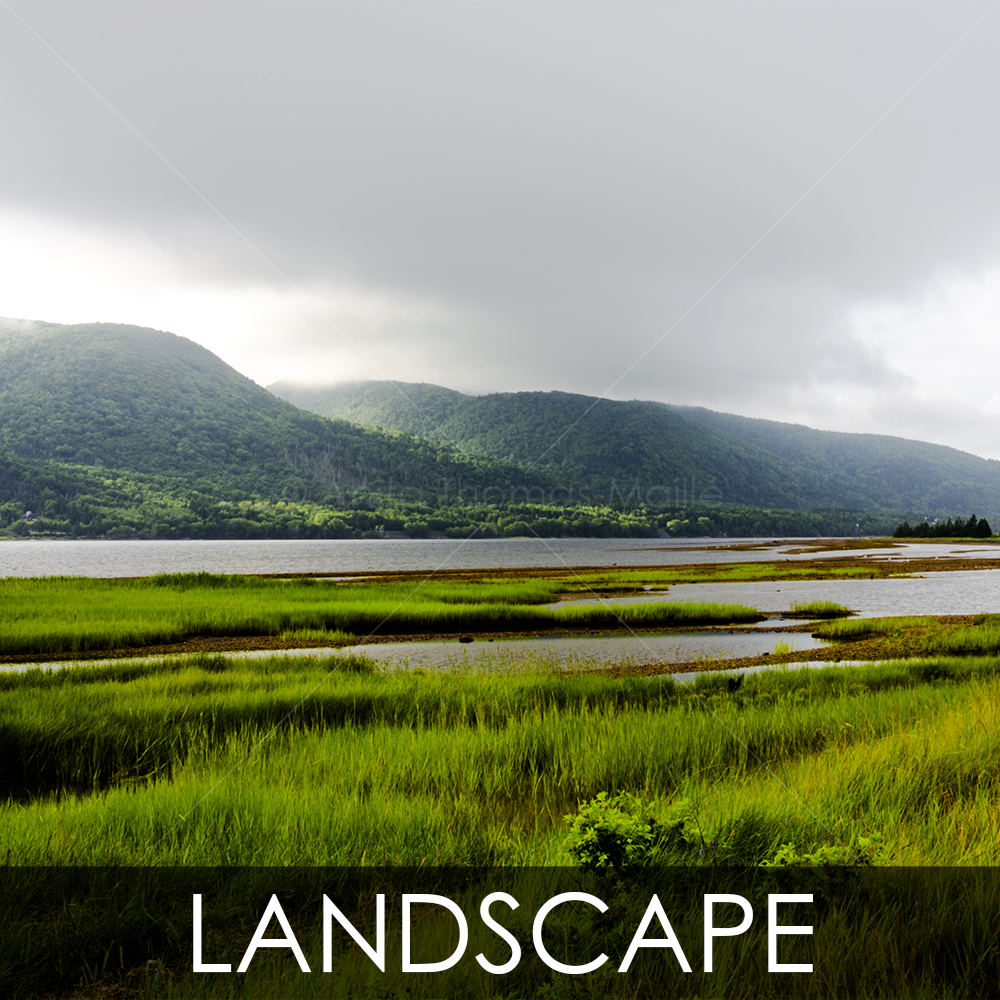 landscape photography