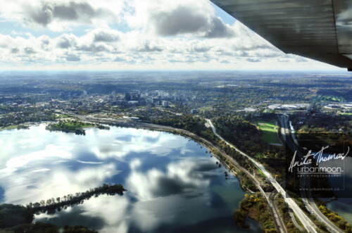 Aerial photography - Cessna 172 flying over Cootes Paradise in Hamilton, Ontario during autumn.
(C)Anita Thomas All Rights Reserved. aerial of cootes paradise