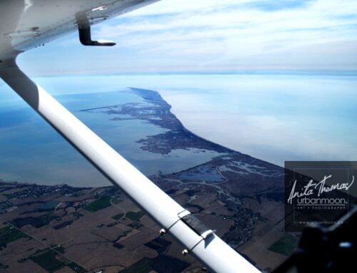 Aerial photography - Long Point, Ontario.
(C)Anita Thomas All Rights Reserved. aerial photography of long point ontario