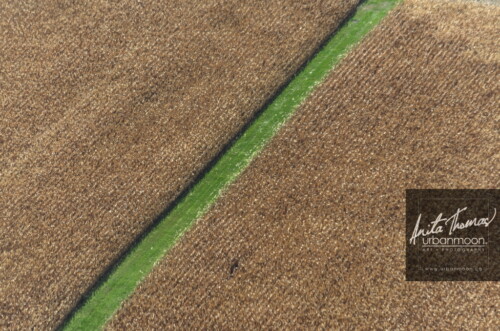 Aerial photography - Aerial of a green strip of grass runs through crops in a field on a farm.
© Anita Thomas - Urbanmoon. All Rights Reserved. agriculture crops in a field