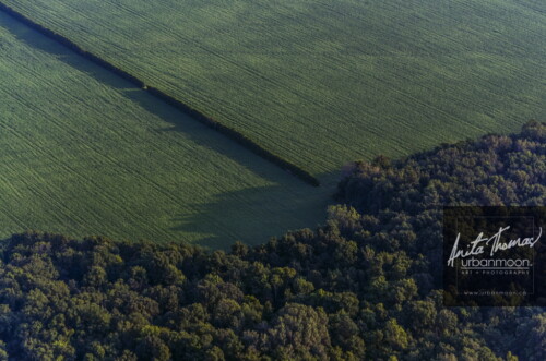Aerial photography - Farmland, rural.
© Anita Thomas - Urbanmoon. All Rights Reserved. agriculture crops in farmland
