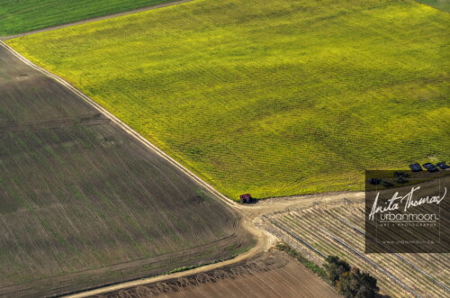 Aerial photography - Farmland, rural.
© Anita Thomas - Urbanmoon. All Rights Reserved. agriculture farmland