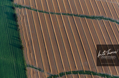 Aerial photography - Farmland, rural.
© Anita Thomas - Urbanmoon. All Rights Reserved. agriculture rows of crops