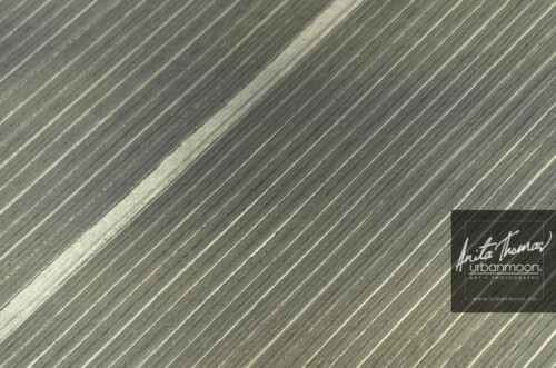 Aerial photography - Farmland, rural.
© Anita Thomas - Urbanmoon. All Rights Reserved. agriculture rows of crops