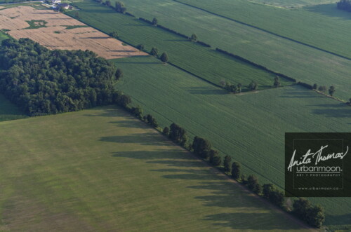 Aerial photography - Farmland, rural.
© Anita Thomas - Urbanmoon. All Rights Reserved. agriculture rural farmland