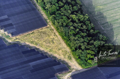 Aerial photography - Farmland, rural.
© Anita Thomas - Urbanmoon. All Rights Reserved. agriculture tender crops