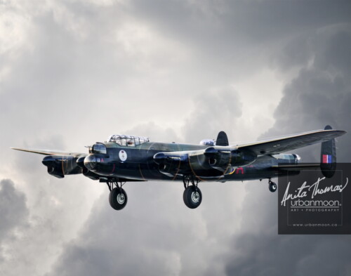 Aviation photography - The Avro Lancaster Mk. X of the Canadian Warplane Heritage Museum in Hamilton, Ontario flies past. It is one of only two remaining flying Lancs.
© Anita Thomas - Urbanmoon. All Rights Reserved. avro lancaster