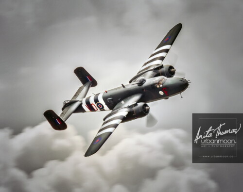 Aviation photography - North American B-25J Mitchell Mk. III
© Anita Thomas - Urbanmoon. All Rights Reserved. b j mitchell