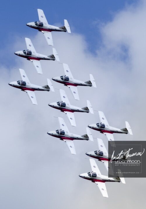 Aviation photography - Canadian Forces 431 Air Demonstration Squadron  (431 Squadron) is a Canadian icon comprised of serving members of the Canadian Forces. They fly the exceptionally robust Canadian designed and built CT-114 Tutor aircraft
© Anita Thomas - Urbanmoon. All Rights Reserved. canadian forces snowbirds