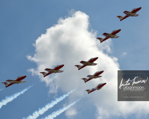 Aviation photography - Canadian Forces 431 Air Demonstration Squadron  (431 Squadron) is a Canadian icon comprised of serving members of the Canadian Forces. They fly the exceptionally robust Canadian designed and built CT-114 Tutor aircraft
© Anita Thomas - Urbanmoon. All Rights Reserved. canadian forces snowbirds
