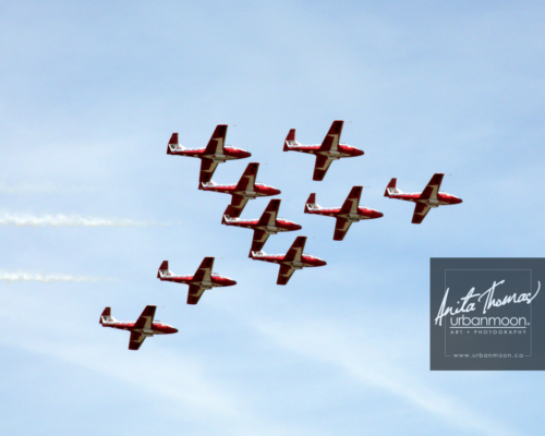 canadian forces snowbirds