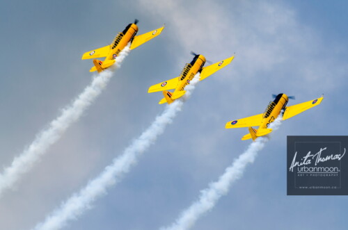 Aviation photography - Canadian Harvard Aerobatic Team (CHAT) performs at the 2013 Rotary Brantford Charity Airshow.
© Anita Thomas - Urbanmoon. All Rights Reserved. canadian harvard aerobatic team