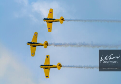 Aviation photography - Canadian Harvard Aerobatic Team (CHAT) performs at the 2013 Rotary Brantford Charity Airshow.
© Anita Thomas - Urbanmoon. All Rights Reserved. canadian harvard aerobatic team