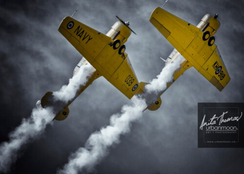 Aviation photography - Canadian Harvard Aerobatic Team (CHAT) perform at the Brantford Rotary airshow. This image won THIRD PLACE in Transport Canada's National Aviation Day photo contest, a contest open to photographers worldwide.
© Anita Thomas - Urbanmoon. All Rights Reserved. canadian harvard aerobatic team