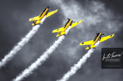 Aviation photography - Canadian Harvard Aerobatic Team (CHAT) performs at the 2013 Rotary Brantford Charity Airshow.
© Anita Thomas - Urbanmoon. All Rights Reserved. canadian harvard aerobatic team