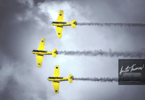 Aviation photography - I love the roar of the Harvards as they perform at the airshows. The Canadian Harvard Aerobatic Team (CHAT) always puts on a fun show as they pay a flying tribute to the veterans of WWII.
© Anita Thomas - Urbanmoon. All Rights Reserved. canadian harvard aerobatic team