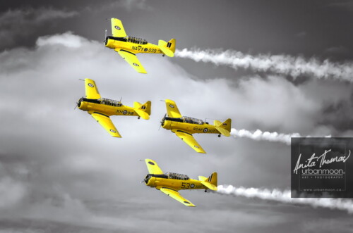 Aviation photography - I love the roar of the Harvards as they perform at the airshows. The Canadian Harvard Aerobatic Team (CHAT) always puts on a fun show as they pay a flying tribute to the veterans of WWII.
© Anita Thomas - Urbanmoon. All Rights Reserved. canadian harvard aerobatic team