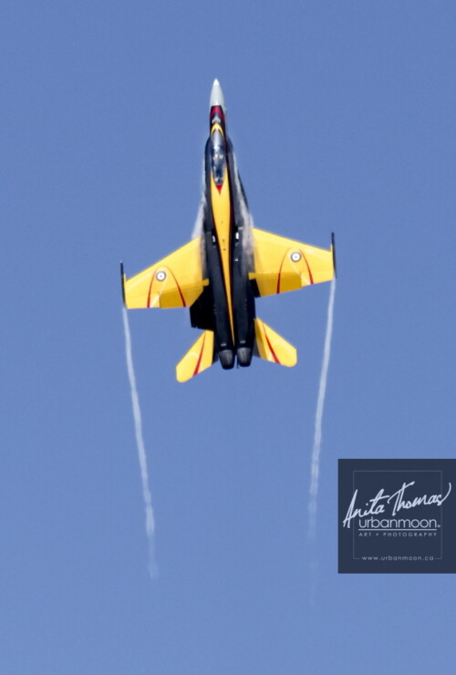 Aviation photography - Captain Ryan Kean pilots the CF-18 Hornet at the Brantford Rotary airshow. The 2016 paint theme celebrates the 75th anniversary of the British Commonwealth Air Training Plan.
© Anita Thomas - Urbanmoon. All Rights Reserved. cf hornet