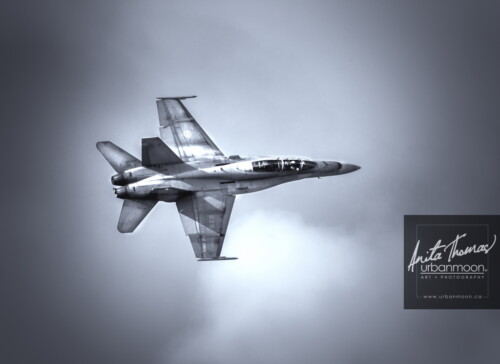 Aviation photography - CF-18 Hornet performs at the 2013 Brantford Charity Airshow
© Anita Thomas - Urbanmoon. All Rights Reserved. cf hornet