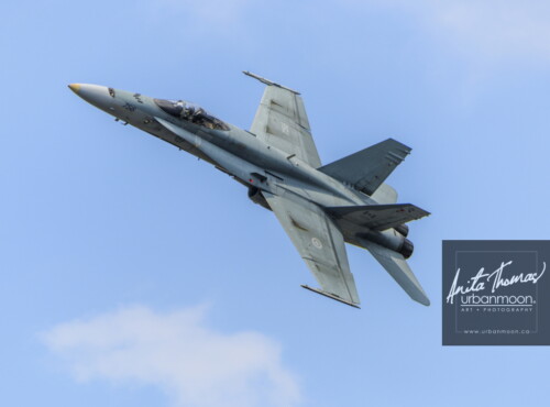 Aviation photography - CF-18 Hornet
© Anita Thomas - Urbanmoon. All Rights Reserved. cf hornet