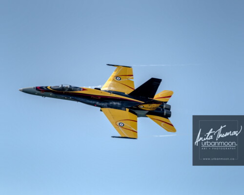 Aviation photography - Captain Ryan Kean pilots the CF-18 Hornet at the Brantford Rotary airshow. The 2016 paint theme celebrates the 75th anniversary of the British Commonwealth Air Training Plan.
© Anita Thomas - Urbanmoon. All Rights Reserved. cf hornet