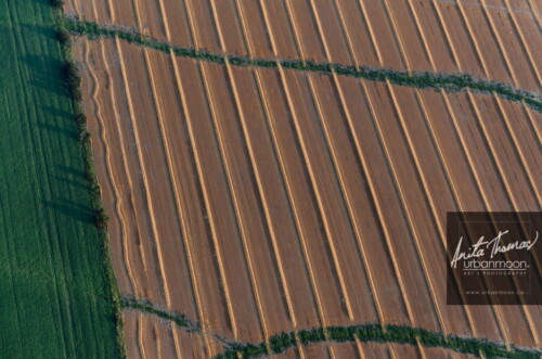 Aerial photography - Farmers' rows of crops
(C)Anita Thomas All Rights Reserved. farmers rows