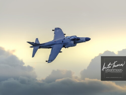 Aviation photography - Harrier above the storm
© Anita Thomas - Urbanmoon. All Rights Reserved. harrier jump jet
