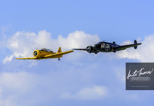 Aviation photography - Harvard and Beechcraft Expeditor of the Canadian Warplane Heritage Museum.
© Anita Thomas - Urbanmoon. All Rights Reserved. harvard and beechcraft expeditor