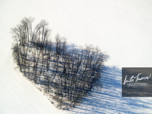 Aerial photography - Trees in winter, in the middle of empty fields, form somewhat of a heart.
(C)Anita Thomas All Rights Reserved. heart shaped trees in winter