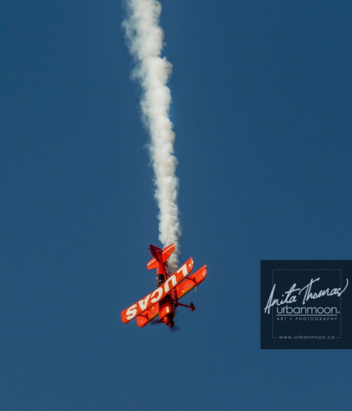 Aviation photography - Mike Wiskus performing in a Lucas Oil Pitts plane at the 2013 Rotary Brantford Charity Airshow
© Anita Thomas - Urbanmoon. All Rights Reserved. mike wiskus in the lucas oil pitts plane