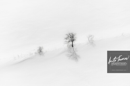 Aerial photography - Minimalist winterscape
(C)Anita Thomas All Rights Reserved. minimalist winterscape