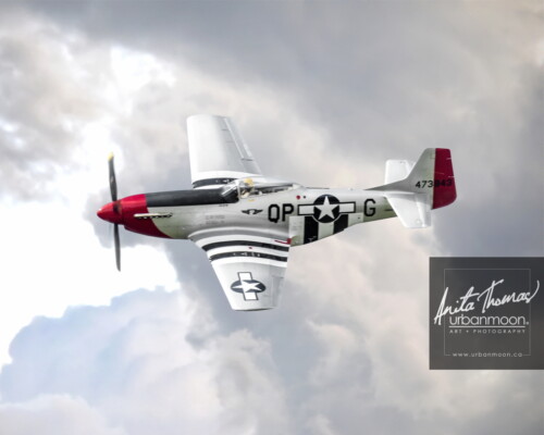 Aviation photography - P-51C Mustang
© Anita Thomas - Urbanmoon. All Rights Reserved. p c mustang