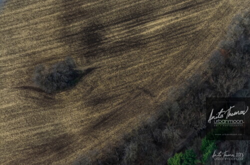 Aerial photography - Patterns in a field
(C)Anita Thomas All Rights Reserved. patterns in a field