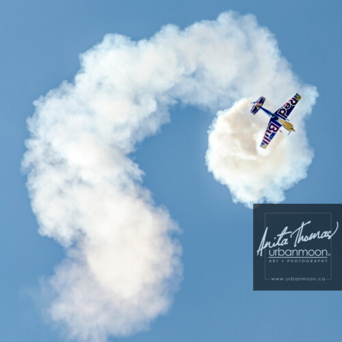 Aviation photography - Pete McLeod performs a tumble at the 2013 Rotary Brantford Charity Airshow
© Anita Thomas - Urbanmoon. All Rights Reserved. pete mcleod red bull edge