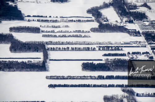 Aerial photography - Rows of trees in winter
(C)Anita Thomas All Rights Reserved. rows of trees in winter