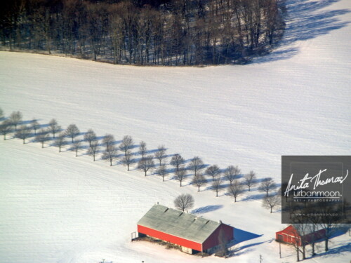 Aerial photography - Two rows of trees cast shadows on the snow in rural Southern Ontario, Canada
(C)Anita Thomas All Rights Reserved. rows of trees in winter