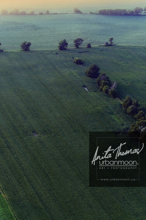 Aerial photography of rural Southern Ontario.
© Anita Thomas - Urbanmoon. All Rights Reserved. rural southern ontario