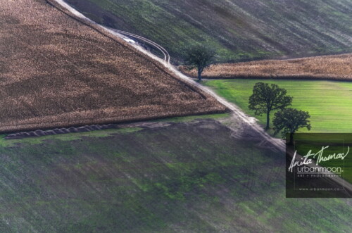 Aerial photography - I love the colors and patterns found in farmers' fields, throw in some special lighting and it's bliss.
© Anita Thomas - Urbanmoon. All Rights Reserved. the art of farming
