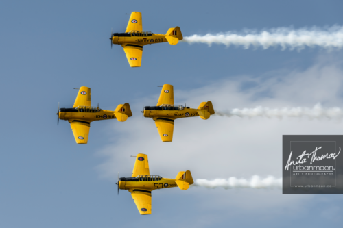 the canadian harvard aerobatic team