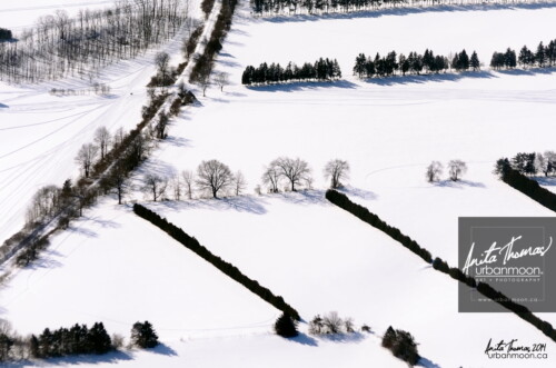 Aerial photography - The tree lines in winter, as seen from the air, form beautiful patterns in the snow.
(C)Anita Thomas All Rights Reserved. tree line abstract