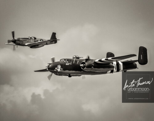 Aviation photography - Tuskegee North American P-51C Mustang and the North American B-25J Mitchell Mk. III of the Canadian Warplane Heritage Museum in Hamilton, Ontario
520040
© Anita Thomas - Urbanmoon. All Rights Reserved. tuskegee p c mustang and the b j mitchell