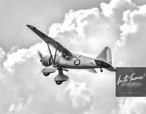 Aviation photography - The Sergeant Clifford Stewart Westland Lysander IIIA, Vintage Wings of Canada
© Anita Thomas - Urbanmoon. All Rights Reserved. westland lysander iiia
