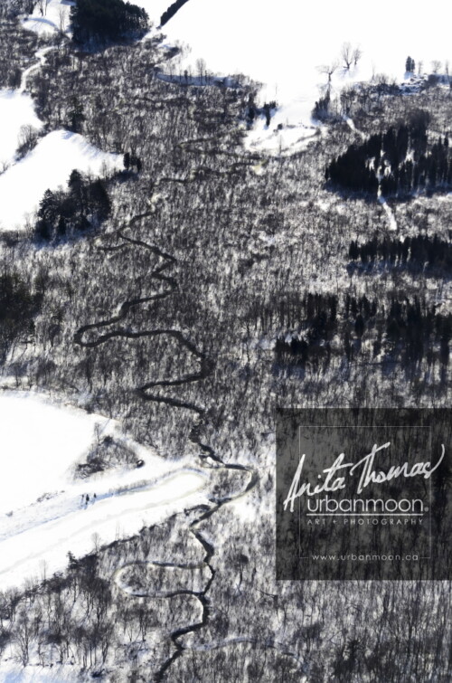 Aerial photography - Winding river in a forest
(C)Anita Thomas All Rights Reserved. winding river in a forest