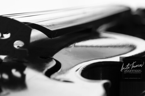 Black and white photography - A violin catches light streaming in through a window.
© Anita Thomas - Urbanmoon. All Rights Reserved. a backlit violin