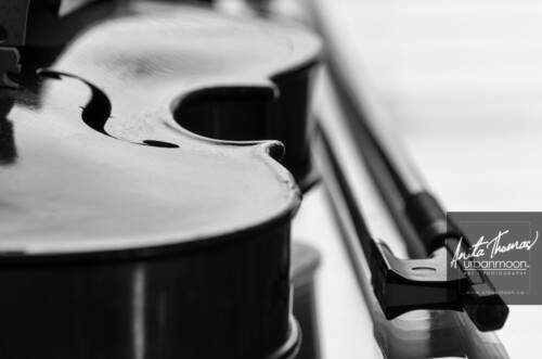 Black and white photography - A violin catches light streaming in through a window.
© Anita Thomas - Urbanmoon. All Rights Reserved. a sunlit violin